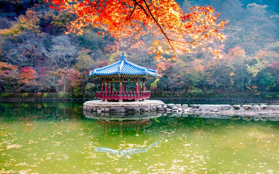 Scenic view of Naejangsan lake in South Korea
